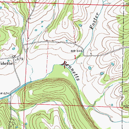 Topographic Map of Foster Branch, AR