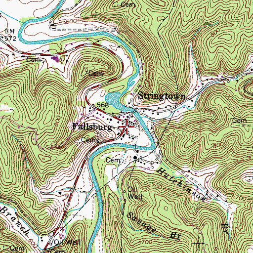 Topographic Map of Fallsburg, KY