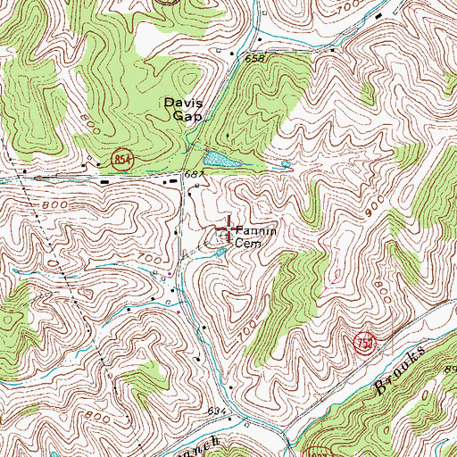Topographic Map of Fannin Cemetery, KY