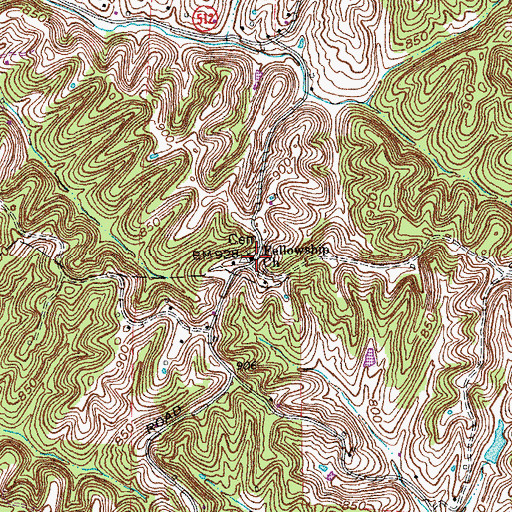 Topographic Map of Fellowship Church, KY