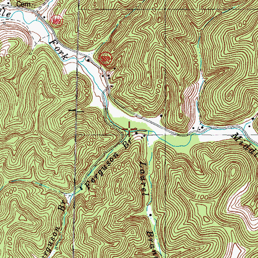 Topographic Map of Ferguson Branch, KY