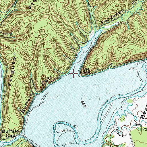 Topographic Map of Ferguson Hollow, KY