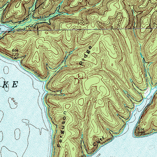 Topographic Map of Ferguson Ridge, KY