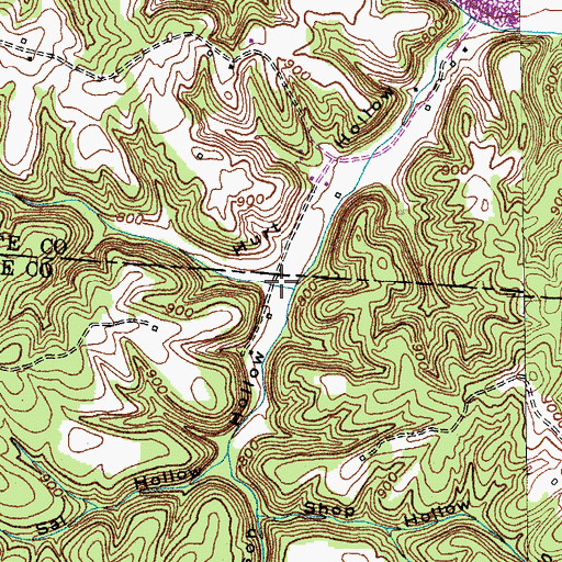 Topographic Map of Fergusson Hollow, KY