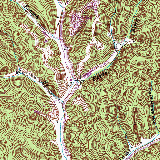 Topographic Map of Ferrel Fork, KY