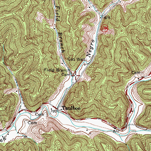 Topographic Map of Field Branch, KY