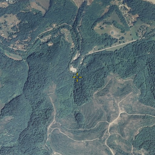 Aerial/Satellite Image of Fishtrap Branch, KY