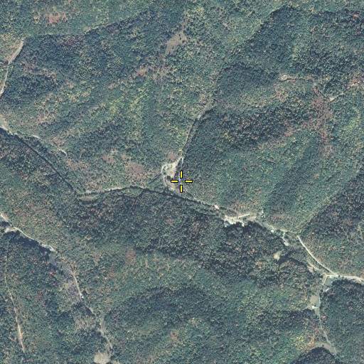 Aerial/Satellite Image of Fitch Branch, KY