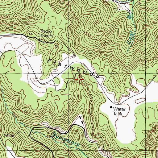 Topographic Map of Flatwoods, KY