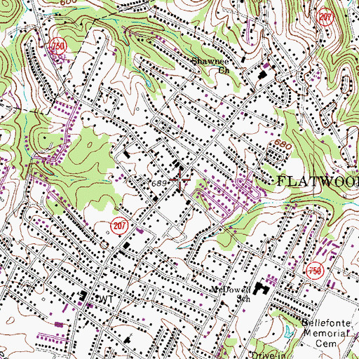Topographic Map of Flatwoods, KY