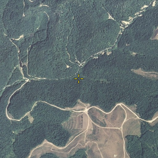 Aerial/Satellite Image of Fletcher Branch, KY