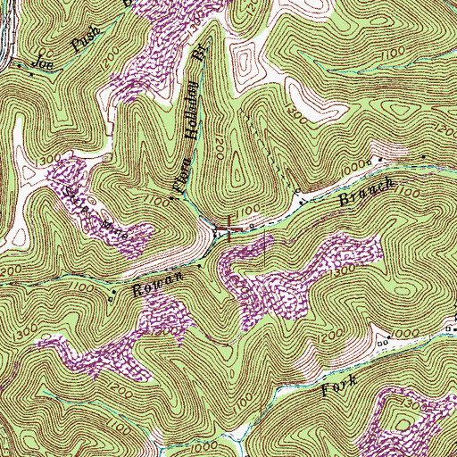 Topographic Map of Flora Holliday Branch, KY