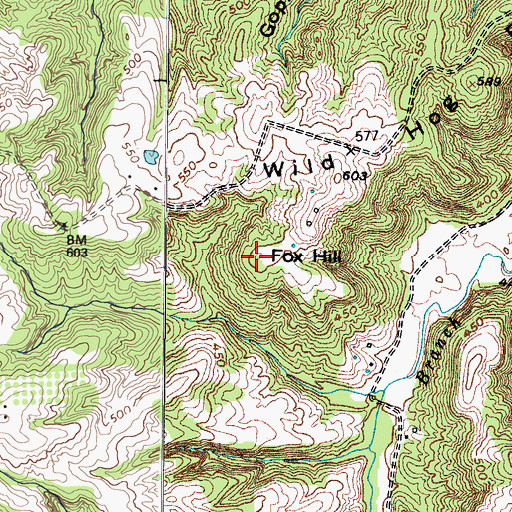 Topographic Map of Fox Hill, KY