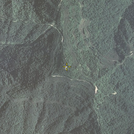 Aerial/Satellite Image of Fox Knob, KY