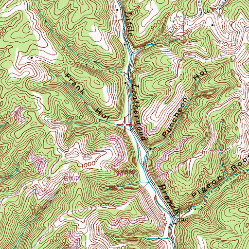 Topographic Map of Frank Hollow, KY