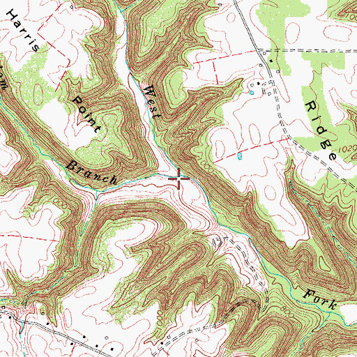 Topographic Map of Freedom Branch, KY