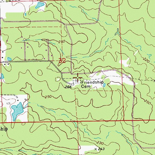 Topographic Map of Friendship Cemetery, AR