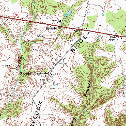 Topographic Map of Freedom Ridge, KY