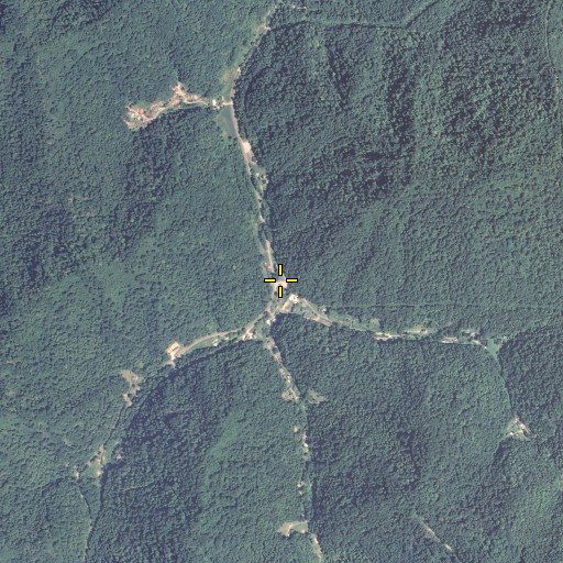 Aerial/Satellite Image of Frozen Fork, KY