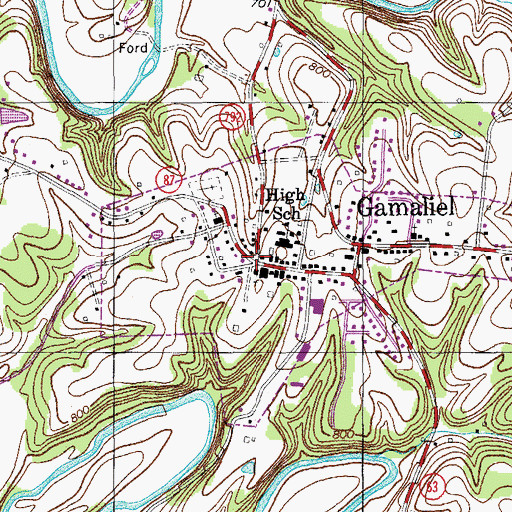 Topographic Map of Gamaliel, KY