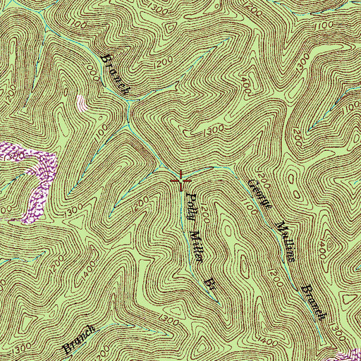 Topographic Map of George Mullins Branch, KY