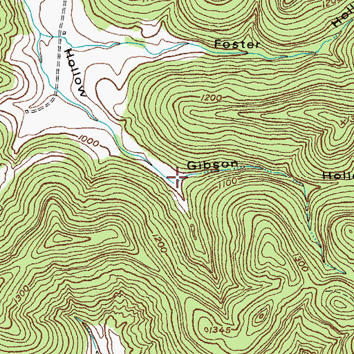 Topographic Map of Gibson Hollow, KY