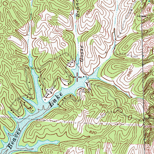 Topographic Map of Goose Branch, KY