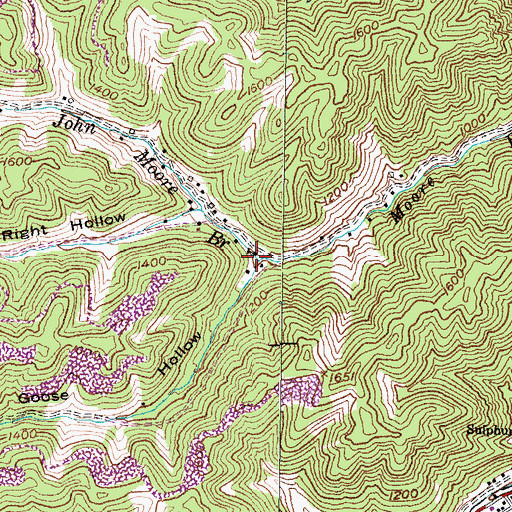 Topographic Map of Goose Hollow, KY