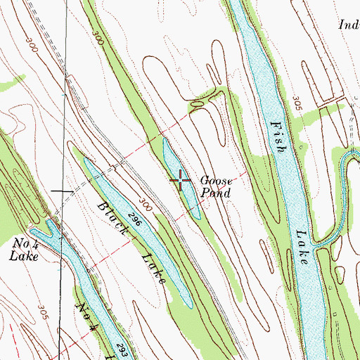 Topographic Map of Goose Pond, KY