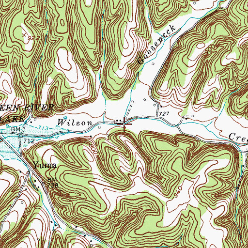 Topographic Map of Gooseneck Branch, KY