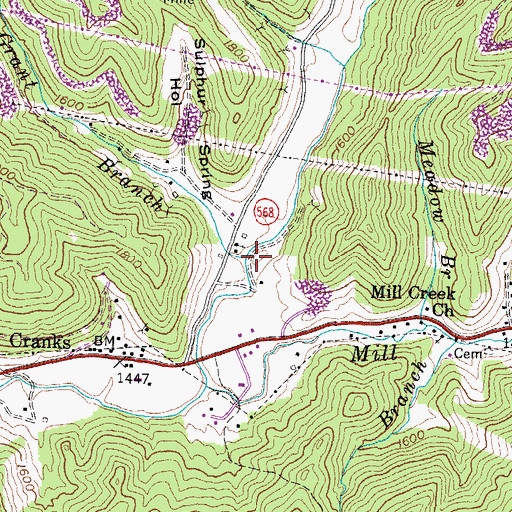 Topographic Map of Grant Branch, KY