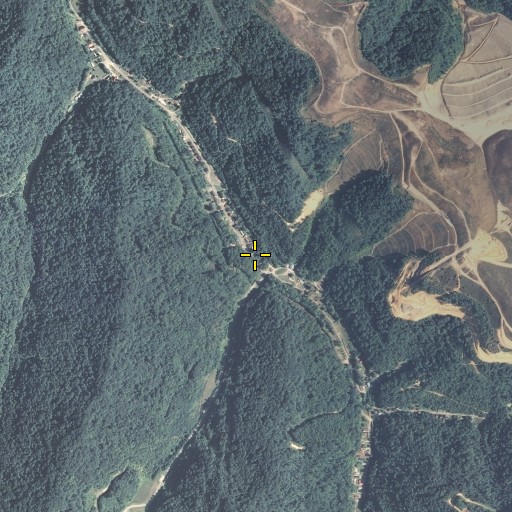 Aerial/Satellite Image of Grants Branch, KY