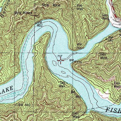 Topographic Map of Grapevine Creek, KY