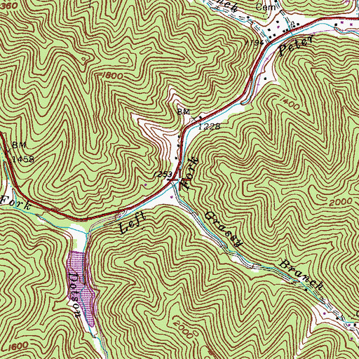 Topographic Map of Grassy Branch, KY