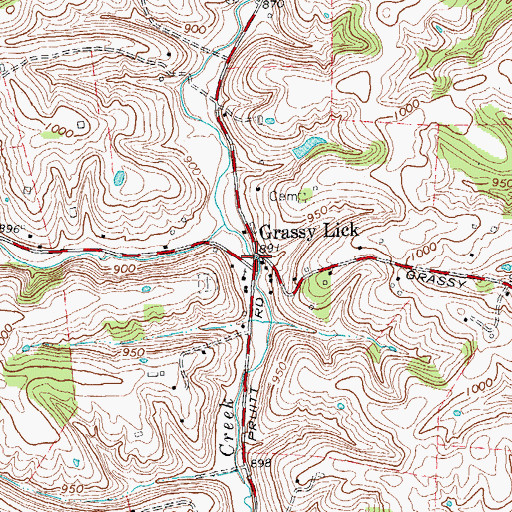 Topographic Map of Grassy Lick, KY