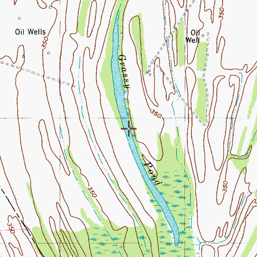 Topographic Map of Grassy Pond, KY