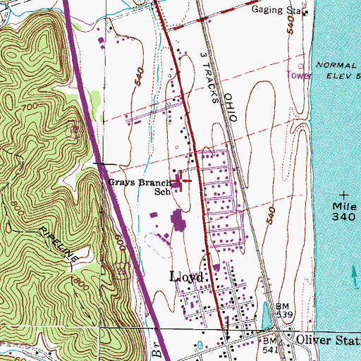 Topographic Map of Grays Branch School, KY