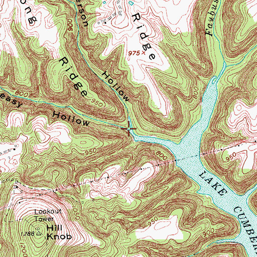 Topographic Map of Greasy Hollow, KY