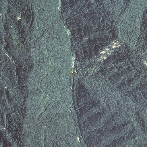 Aerial/Satellite Image of Green Branch, KY