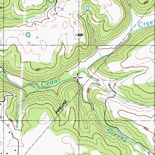 Topographic Map of Greens Branch, KY