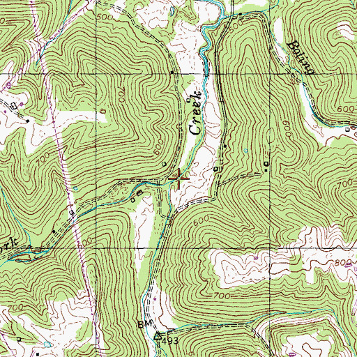 Topographic Map of Greens Fork, KY