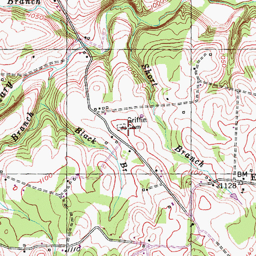 Topographic Map of Griffin Cemetery, KY
