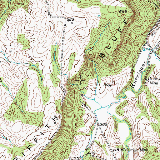 Topographic Map of Griffith Bluff, KY
