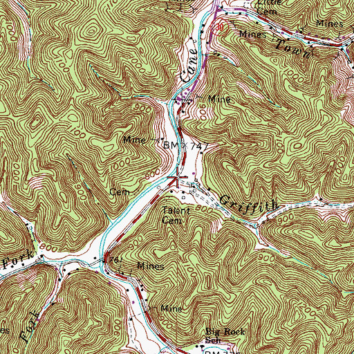 Topographic Map of Griffith Branch, KY