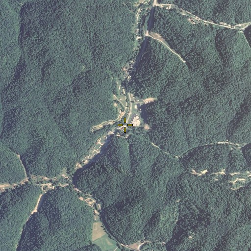 Aerial/Satellite Image of Griffith Branch, KY