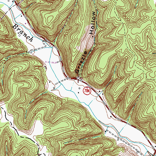 Topographic Map of Grizzle Hollow, KY
