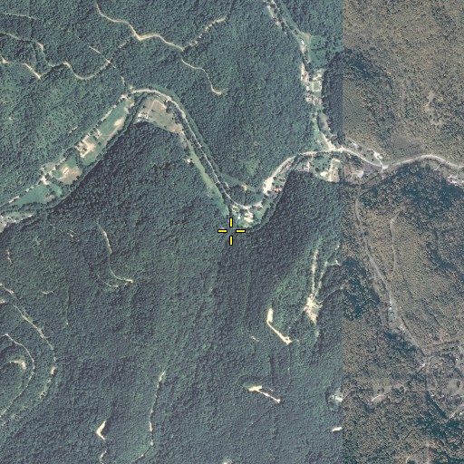 Aerial/Satellite Image of Gum Branch, KY