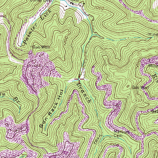 Topographic Map of Gun Rack Hollow, KY