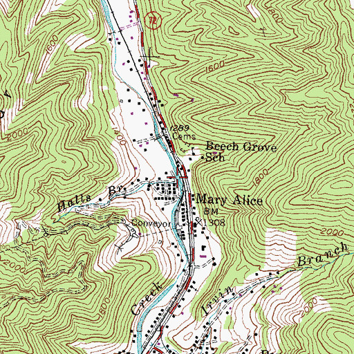Topographic Map of Halls Branch, KY