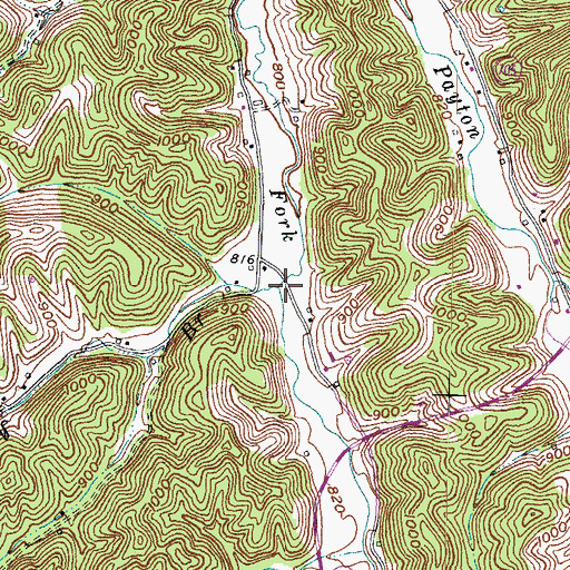 Topographic Map of Halsey Branch, KY